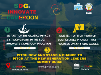 sdg innovate cameroon